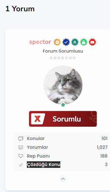 çözülenkonu.png