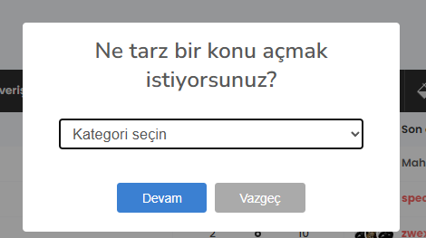 Yenikonu2.png