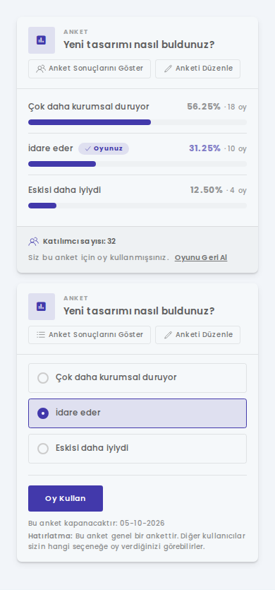 ankettasarımı2.png